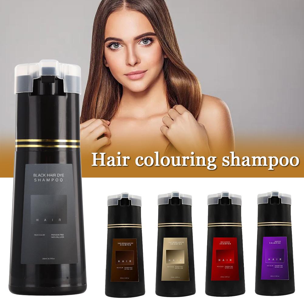 200ml 10 Minutes Fast Hair Dye - Hair Spray Color ulasan dan harga