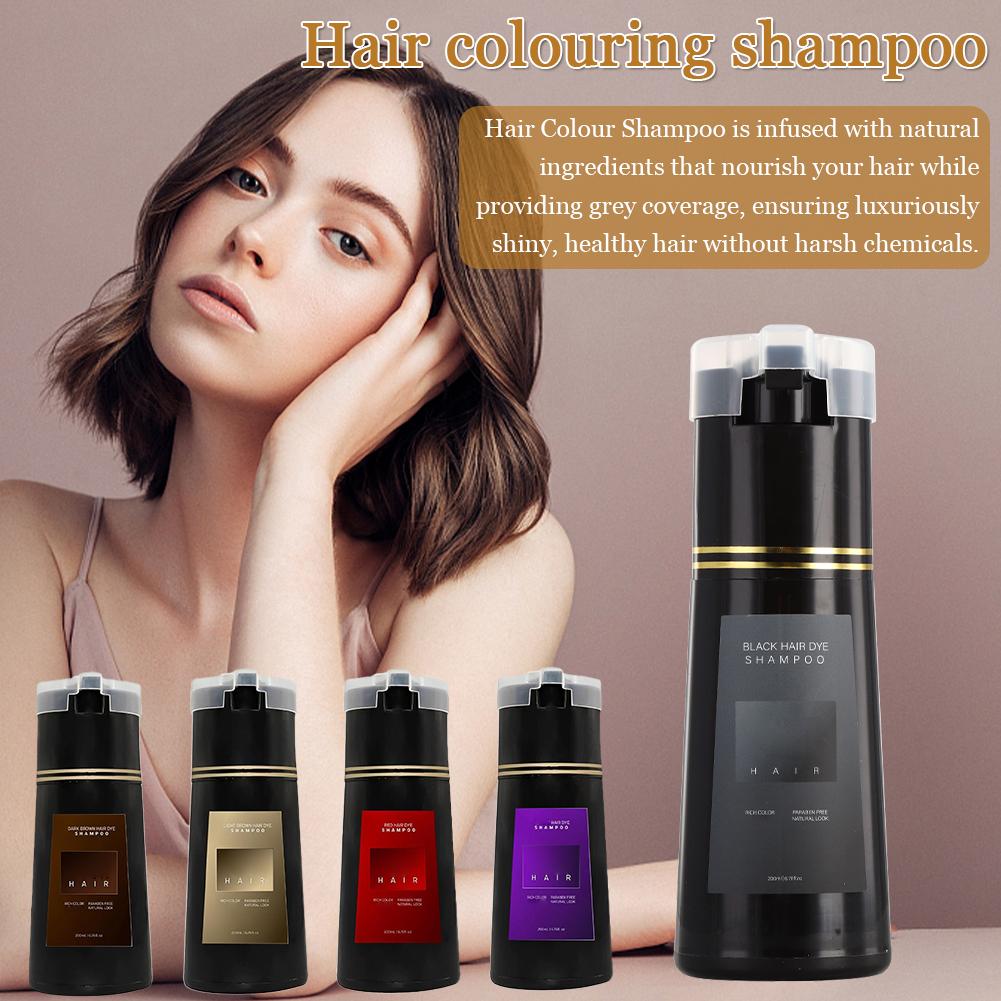 200ml 10 Minutes Fast Hair Dye - Hair Spray Color ulasan dan harga